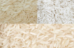 خرید انواع برنج ایرانی ارگانیک